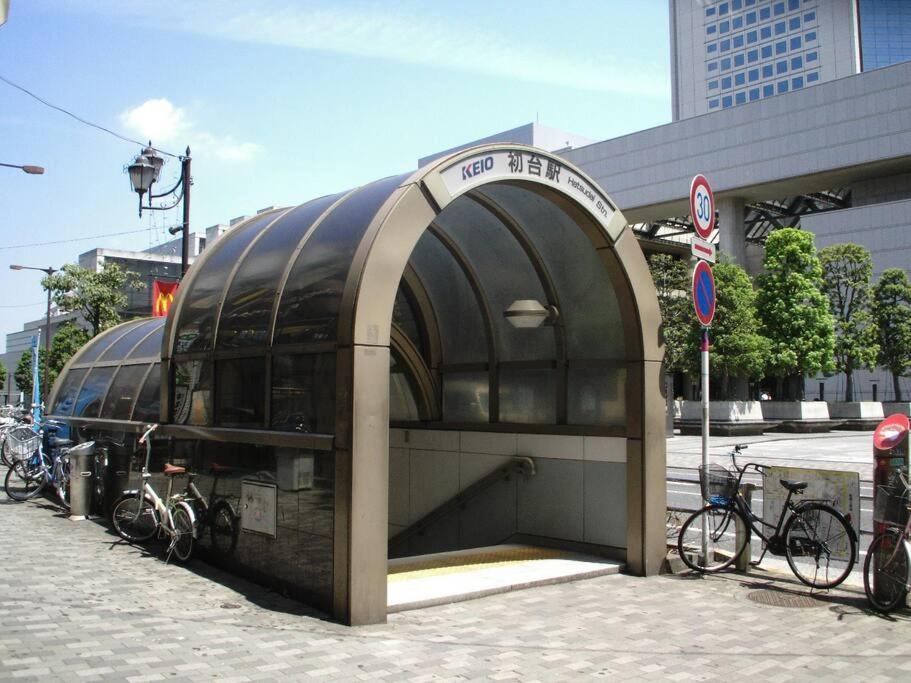 Japanese Tradition Evergreen * โตเกียว